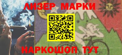гидропоника Дубна