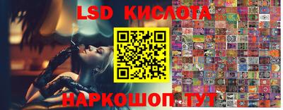 гидропоника Дубна