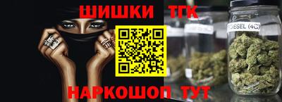 гидропоника Дубна