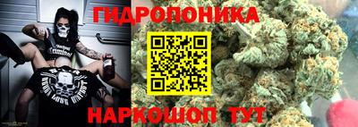 гидропоника Дубна