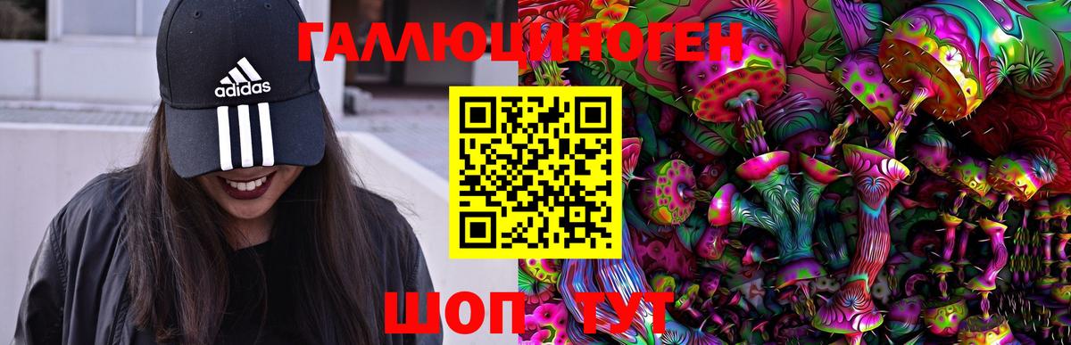 МЕФ Ливны