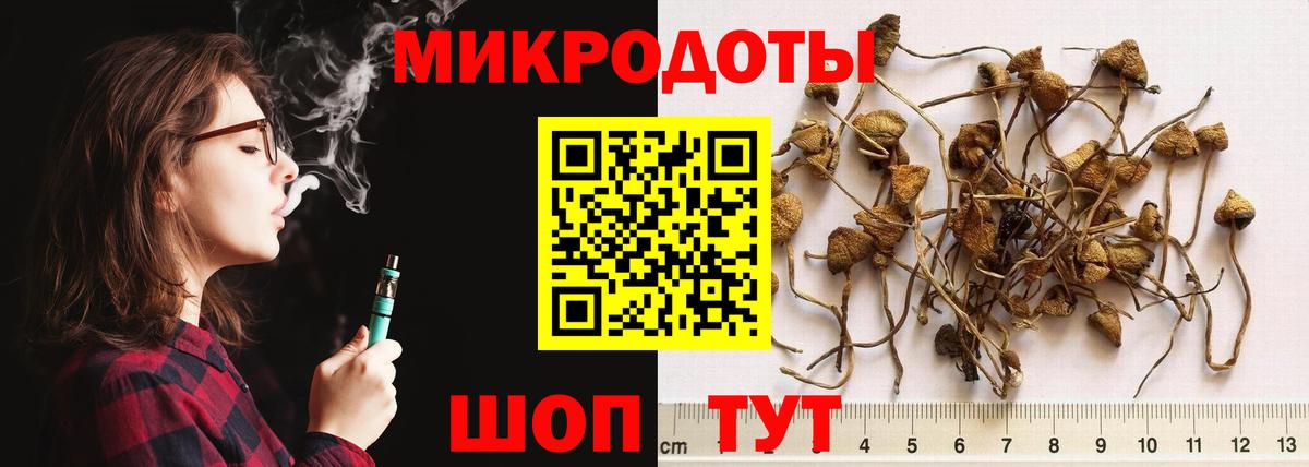 Псилоцибиновые грибы Cubensis  Вход с VPN  Ливны 